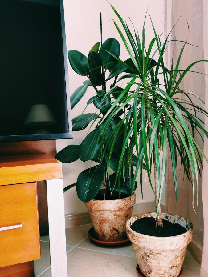 Kintsugi House Lagos Zewnętrze zdjęcie